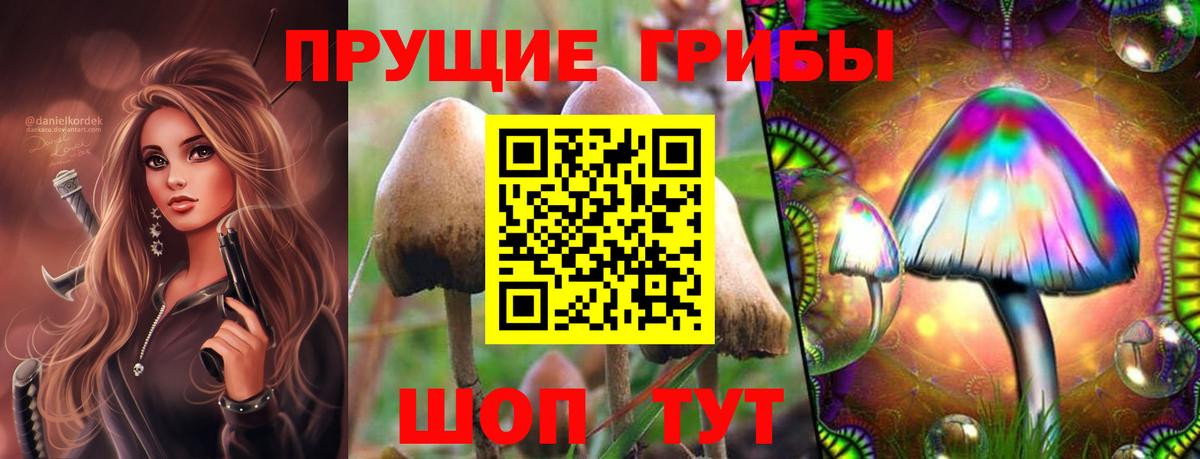 Галлюциногенные грибы MAGIC MUSHROOMS Сланцы