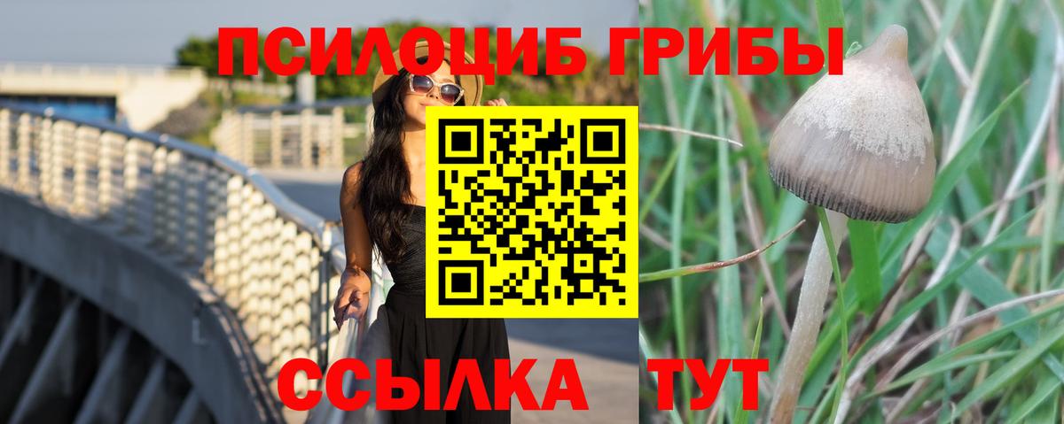Сланцы  Псилоцибиновые грибы Magic Shrooms  Галлюциногенные грибы ЛСД  Вход с VPN 